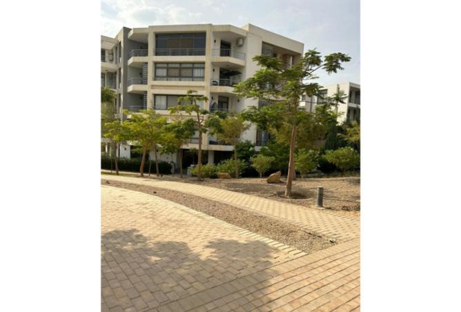 8134236 - Property Image 3