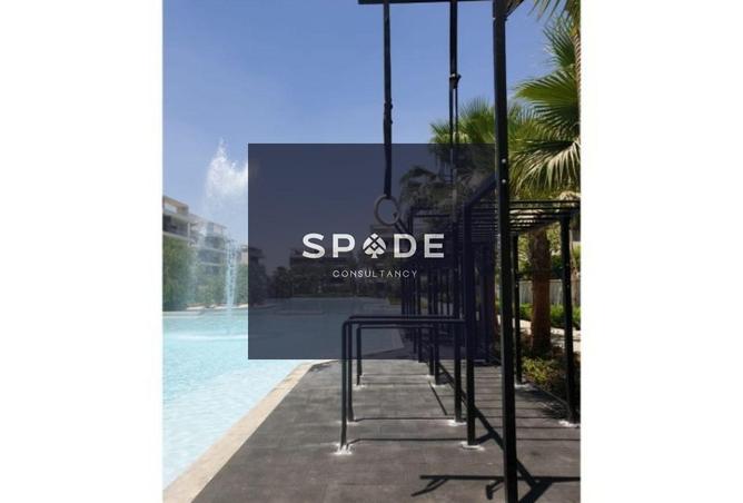 8381230 - Property Image 3