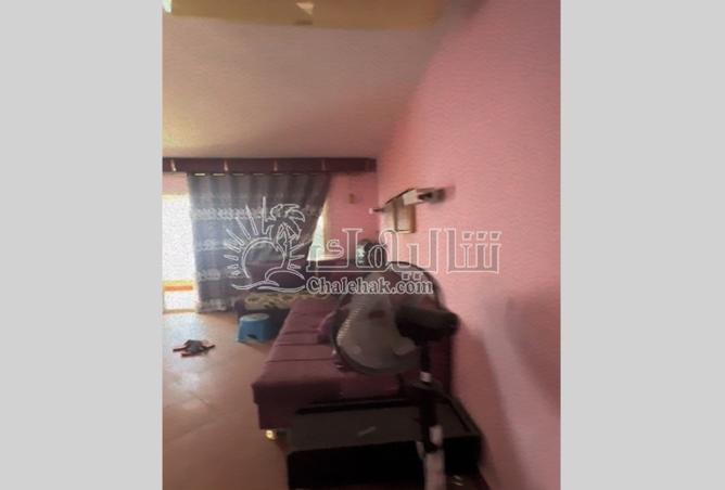 8134986 - Property Image 3