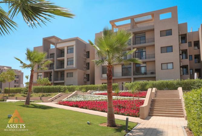 8135296 - Property Main Image