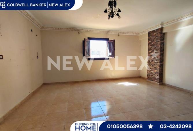 8135217 - Property Image 3