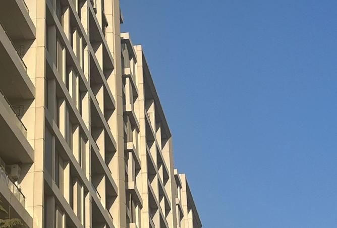 8135523 - Property Image 3