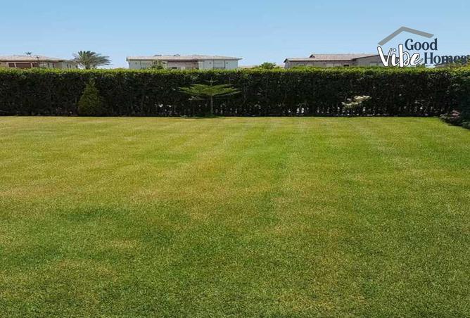 8135614 - صورة العقار 2