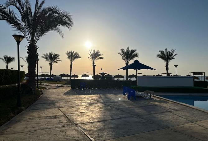 8135628 - Property Image 2