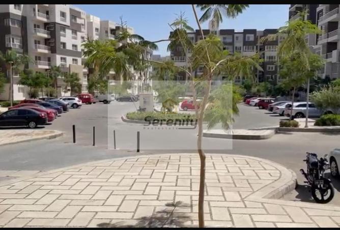 8136705 - Property Image 3