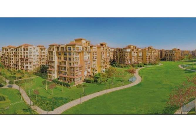 8338337 - صورة العقار 2