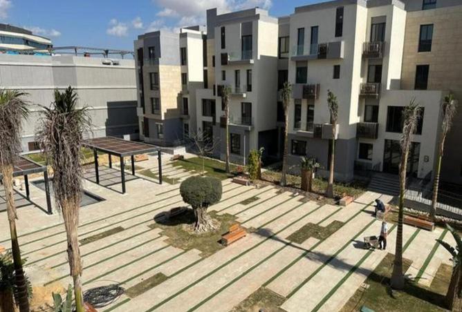 8135888 - Property Image 3