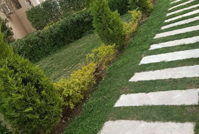 8143304 - Property Image 2