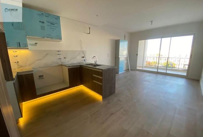 8136120 - Property Image 2