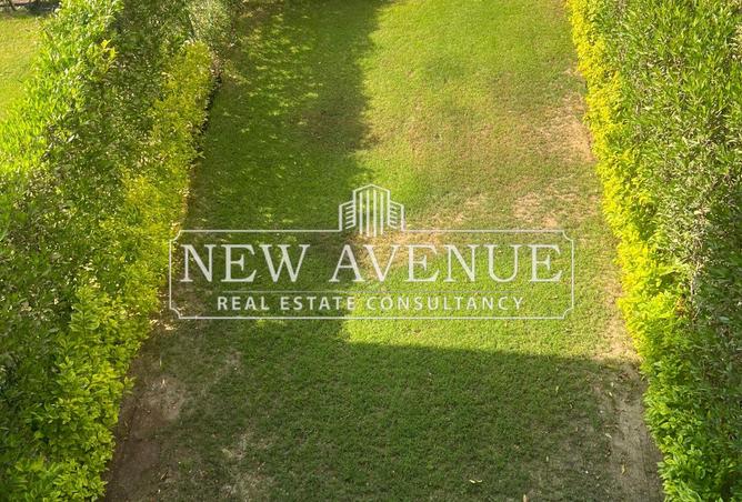 8231988 - Property Image 3