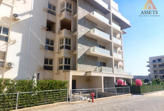 8136648 - Property Image 3