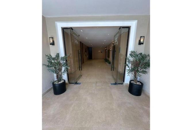 8375443 - Property Image 3