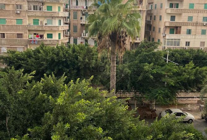 8137575 - Property Image 2