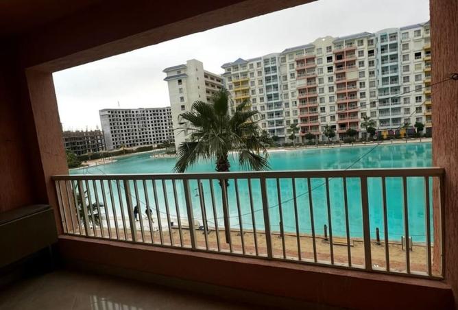 8137884 - صورة العقار 2