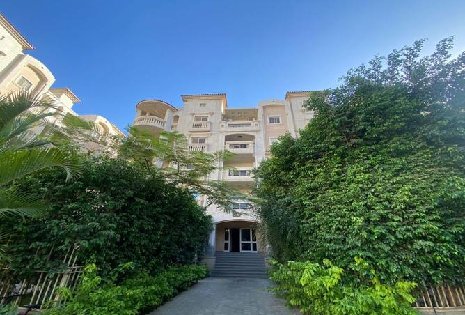 8138313 - Property Image 2