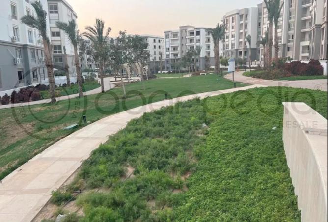 8369266 - Property Image 3