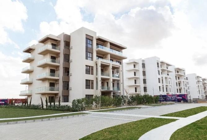 8138557 - Property Image 3