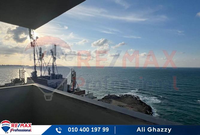 8138816 - صورة العقار 2