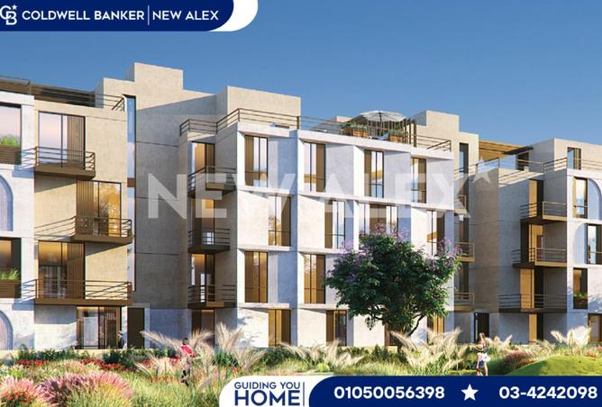 8138832 - Property Image 2