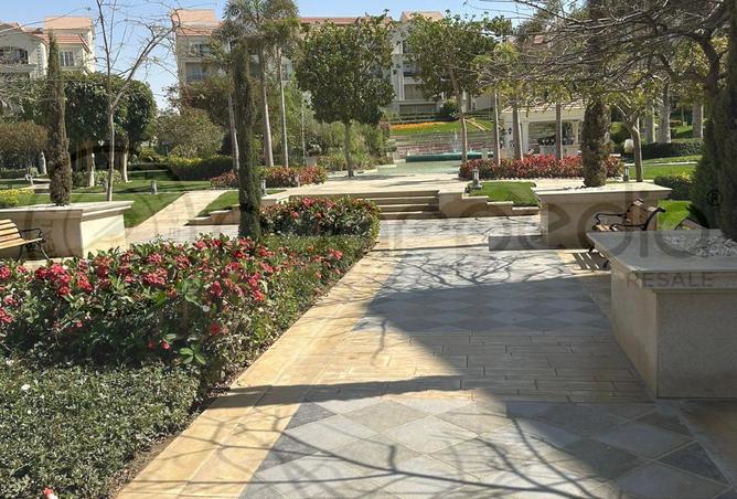 8335465 - Property Image 2