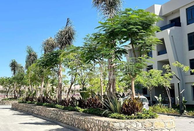 8140628 - Property Image 2