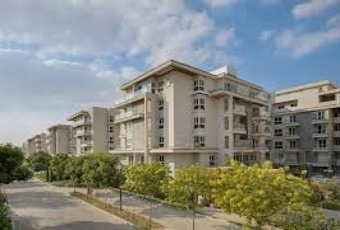 8140726 - Property Image 3