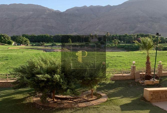 8142883 - Property Image 3