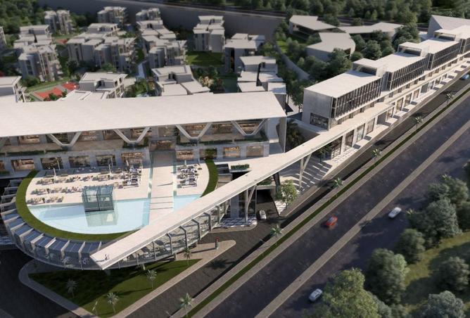 8143151 - صورة العقار 2