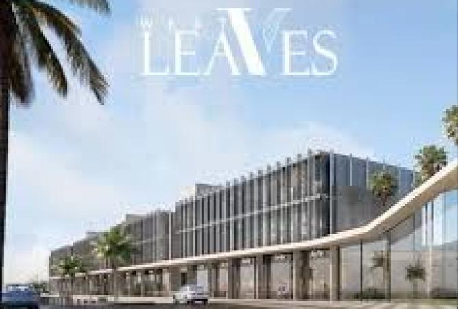 8143153 - صورة العقار 3