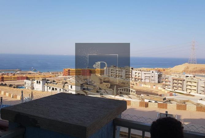 8143240 - Property Image 3