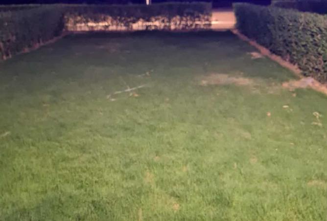 8143380 - صورة العقار 2