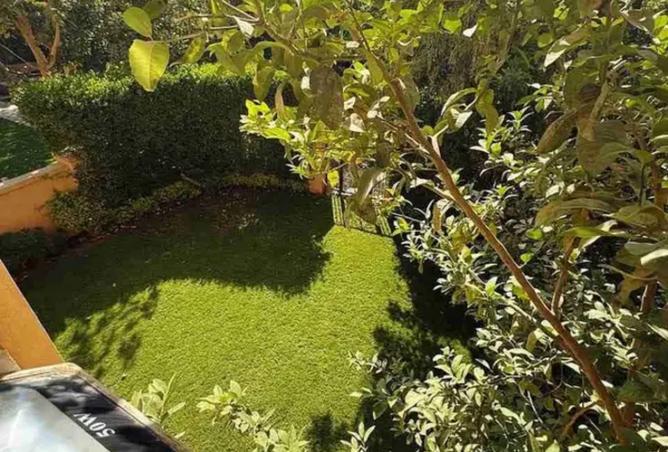 8144079 - Property Image 3