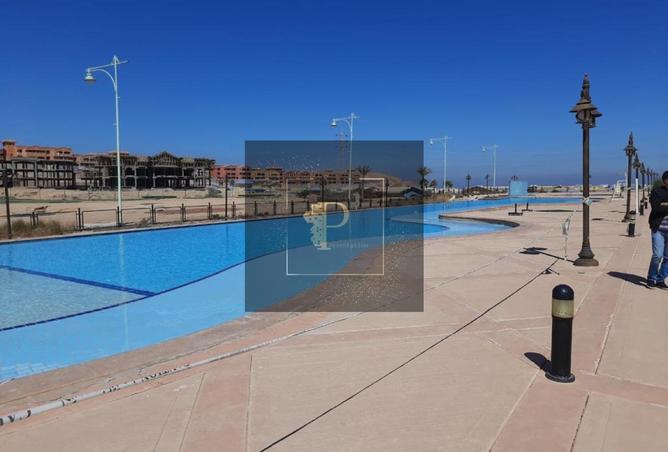 8144575 - Property Image 3