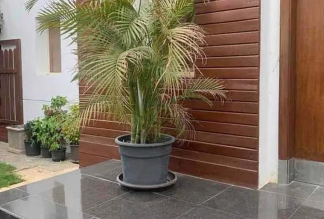 8145243 - Property Image 3