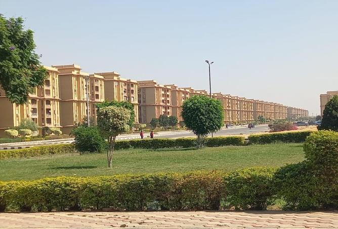 8146328 - صورة العقار 2