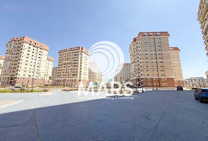 8146249 - Property Image 2