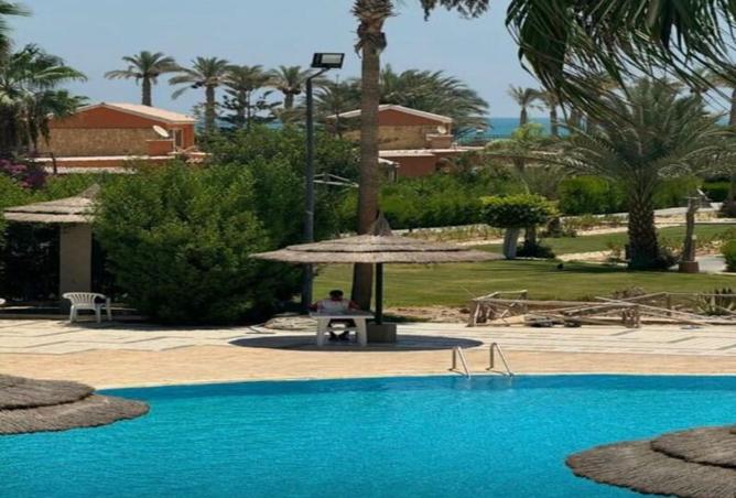 8147430 - صورة العقار 3