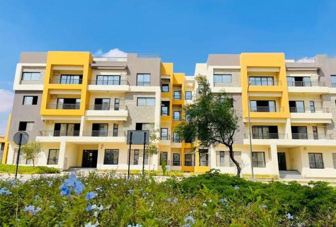 8147584 - صورة العقار 3