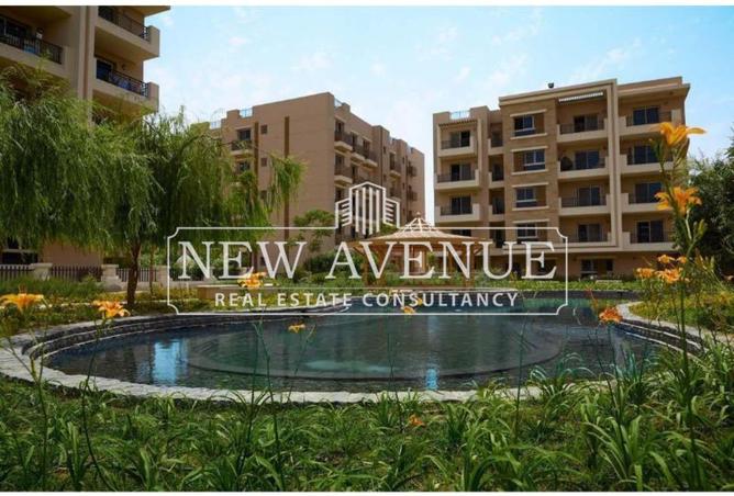 8381908 - Property Image 3