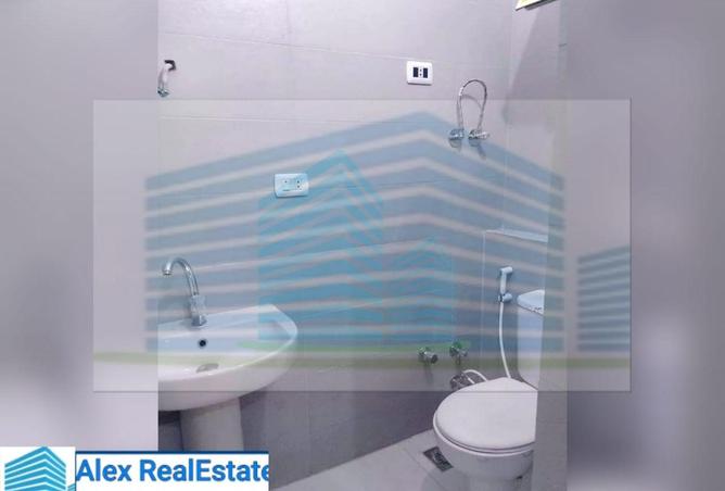 8147783 - Property Image 3