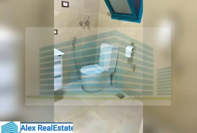 8147788 - Property Image 3