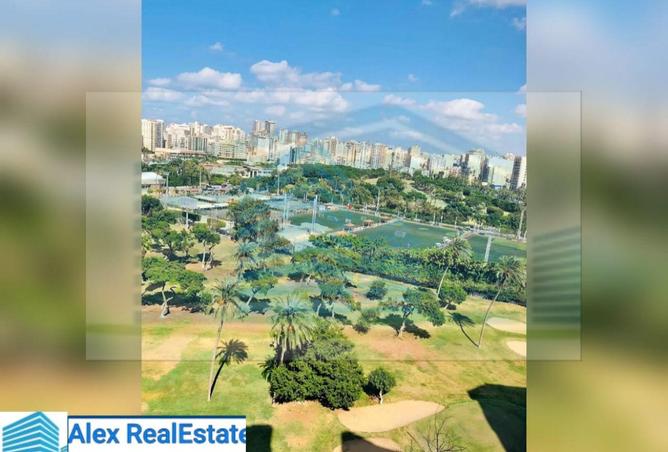 8147799 - الصورة الرئيسية للعقار