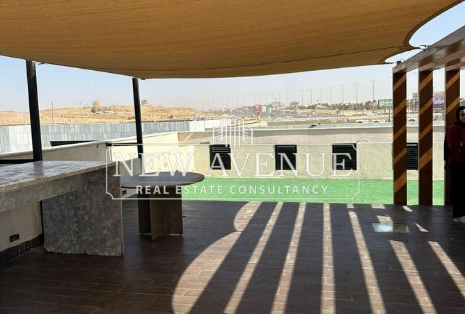 8147908 - صورة العقار 3