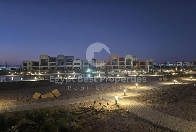 66696826 - Property Image 3