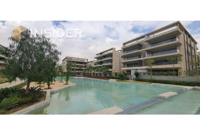 8150013 - Property Image 3