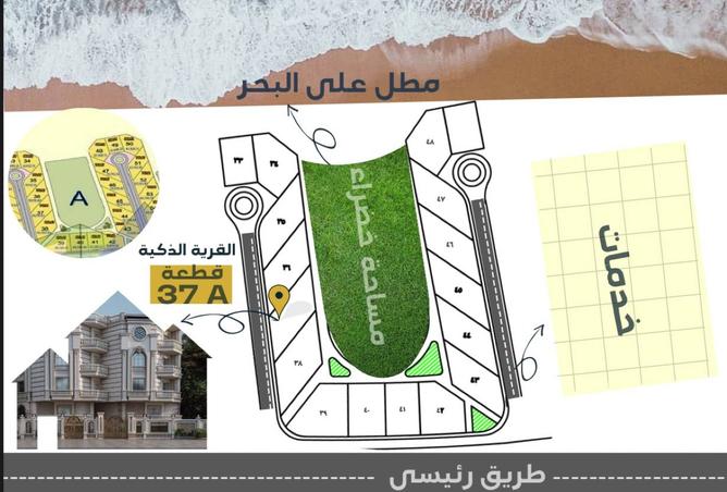 8150256 - Property Image 3