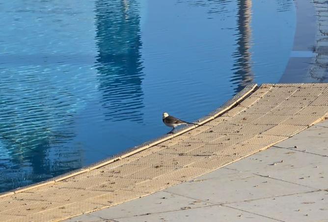 8150744 - صورة العقار 2