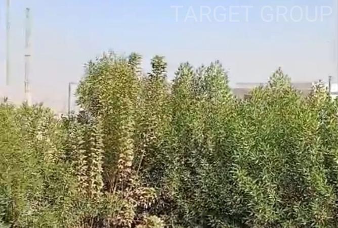 8150802 - صورة العقار 3