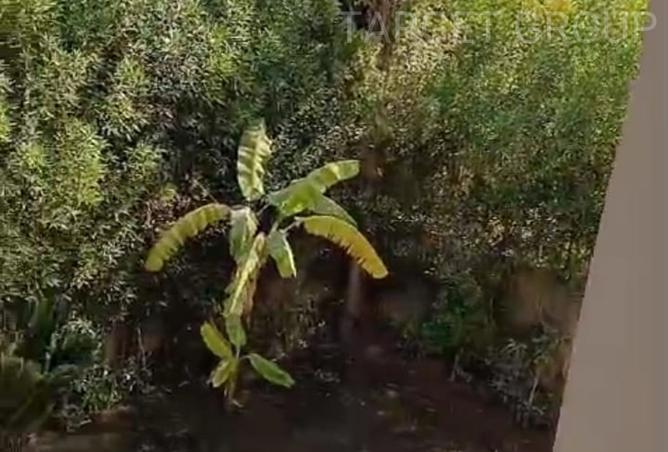 8150802 - صورة العقار 2