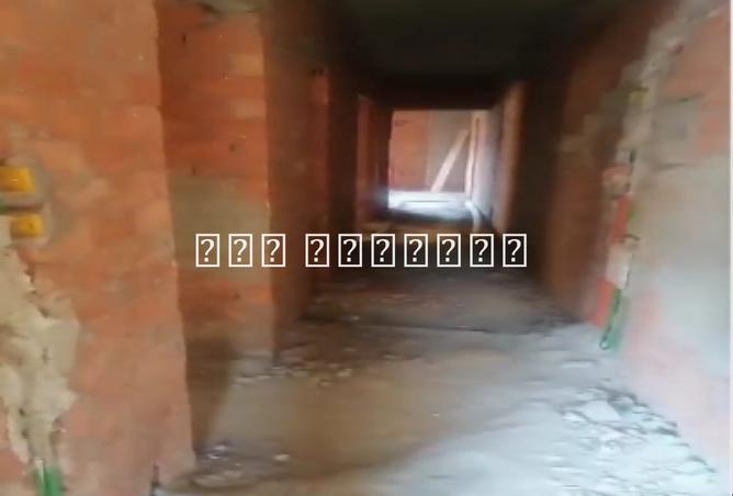 8151589 - صورة العقار 3